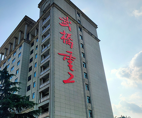 武橋重工樓體發(fā)光